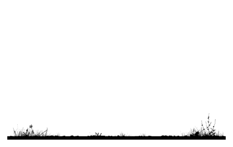 Chaussierung
