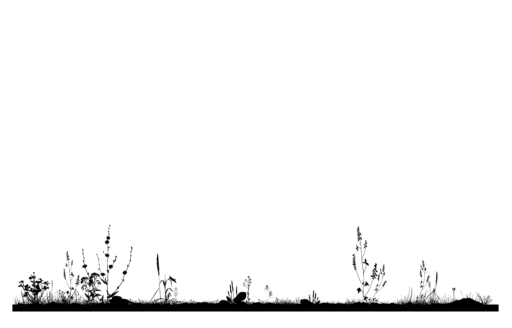 Schotterrasen